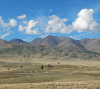 Курайская степь