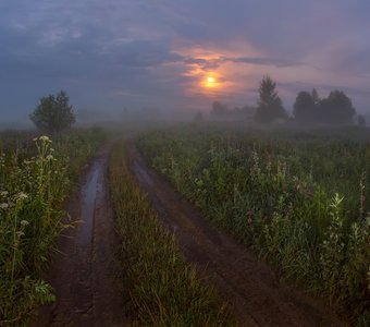 про белые ночи, туман и полнолуние