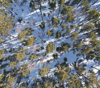 Где-то на Байкале