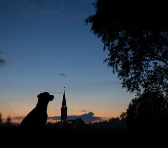 Тихие белые ночи, Гатчина