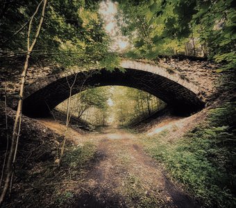 Мост, украденный лесом