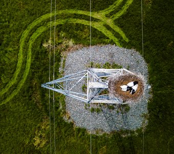 Дорога к дому