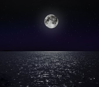 Ночь в океане