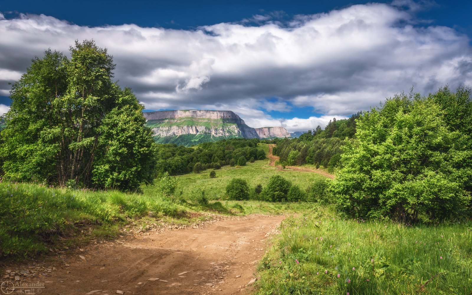 По июньским Бамбакам