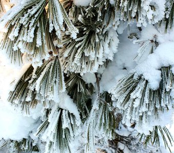 Зимние одежды