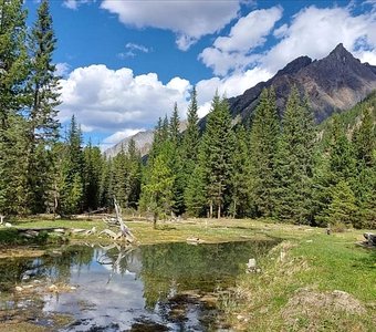 Целебные воды