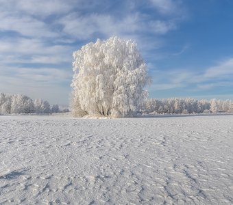 Зимний наряд