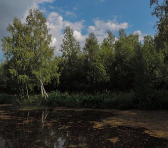 Только Алёнушки не хватает!