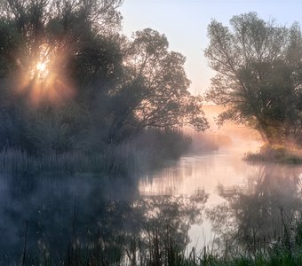 Свапа утром