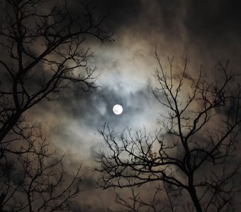 Ночное таинство