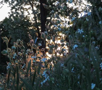 На исходе дня