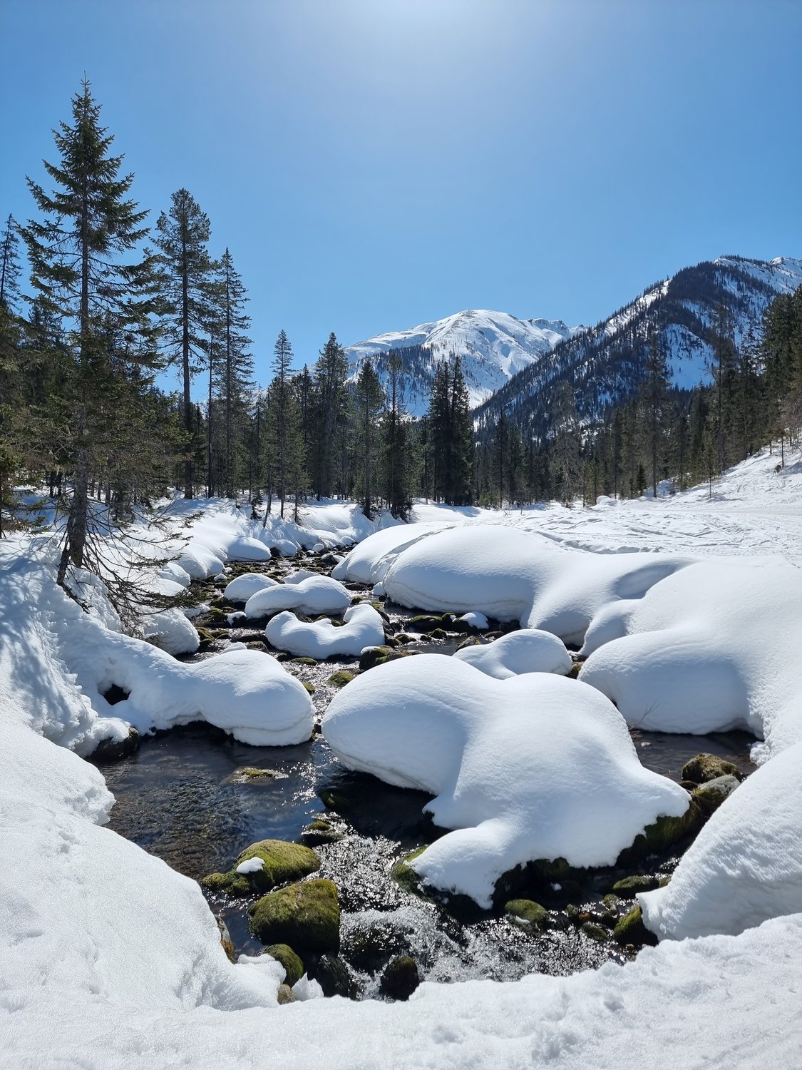 Мягкие шапки Мамая