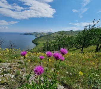 Палитра Малого моря