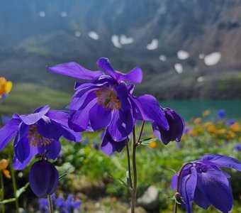 Первозданная красота Земли