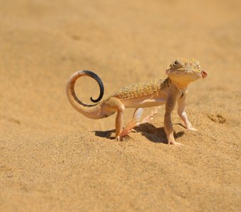 Как я хороша