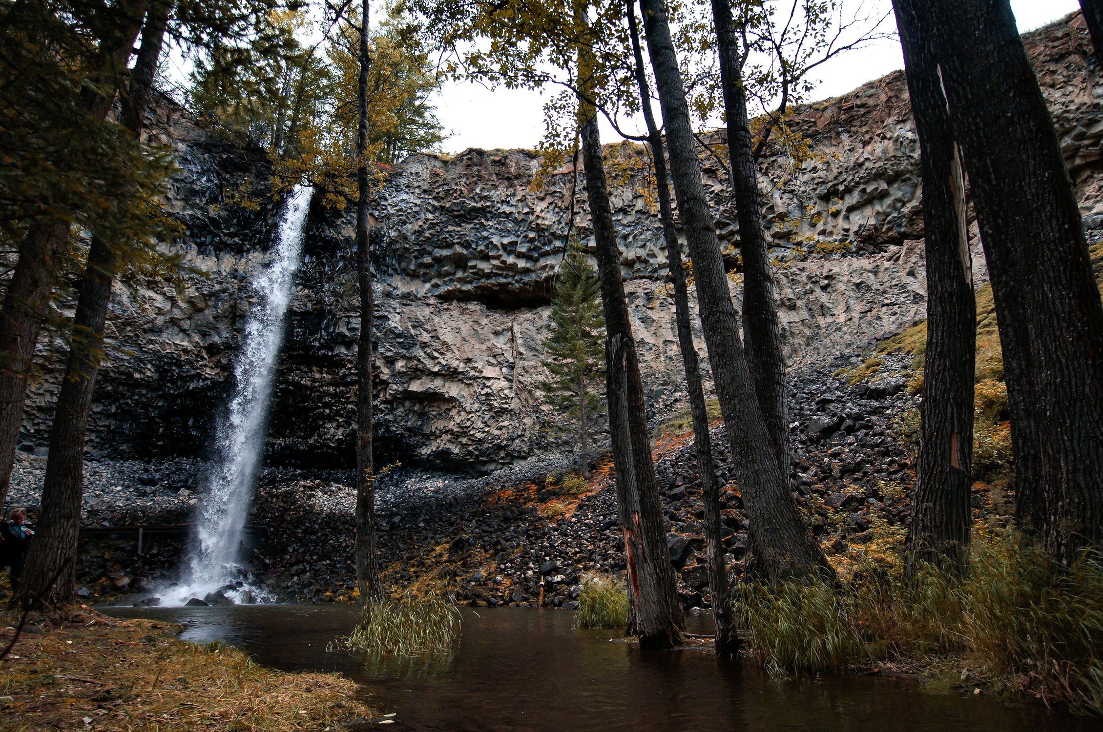 Сайлак