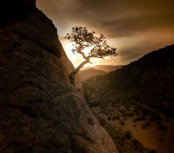 Ночь в горах