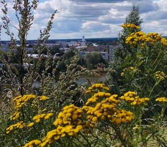 Выборг, башня Олафа