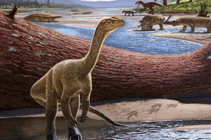 Очаровательный мини-завропод: самый древний африканский динозавр