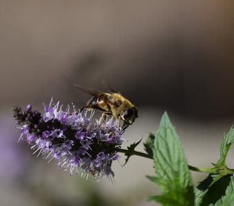 Последние теплые деньки, надо торопиться...