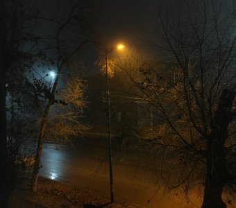 Осенняя сказка