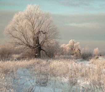 Зимний пейзаж