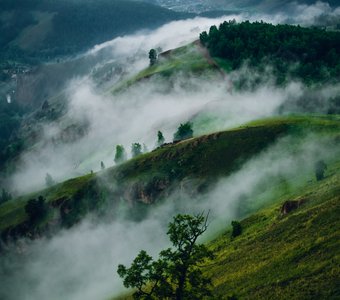 В погоне за туманом