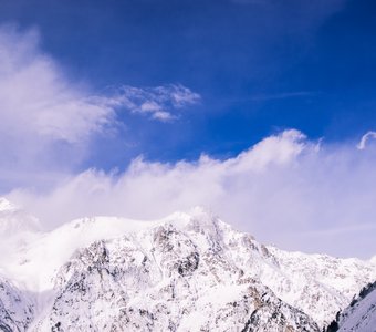 Солнечное утро