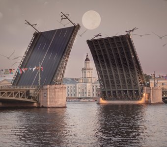 Разводной мост в Санкт -Петербурге