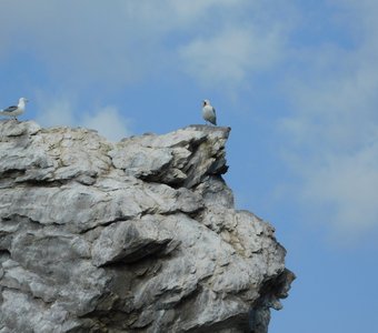 Крик свободы. Остров Большой Тойнак.