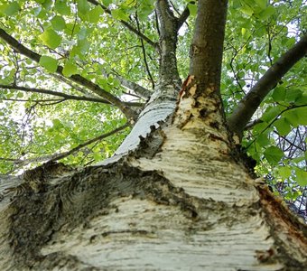 Движение вверх. Василиса 13 лет.