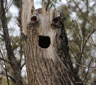 Вам не страшно?
