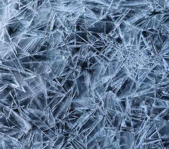 Ледяное кружево