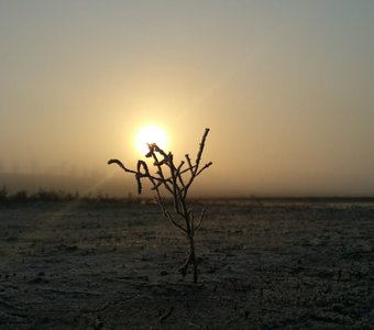 Раннее весеннее утро на Ханском озере