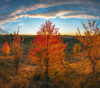 Осень в степной балке