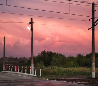 Красота подстерегает в самых неожиданных местах