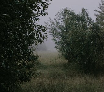 Тяжелая дорога