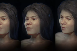 Как выглядела девушка, жившая 31 000 лет назад: реконструкция лица