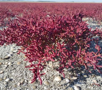 Лунный пейзаж