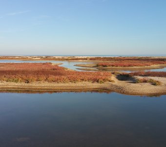 Везде вода... Коса Камышеватская