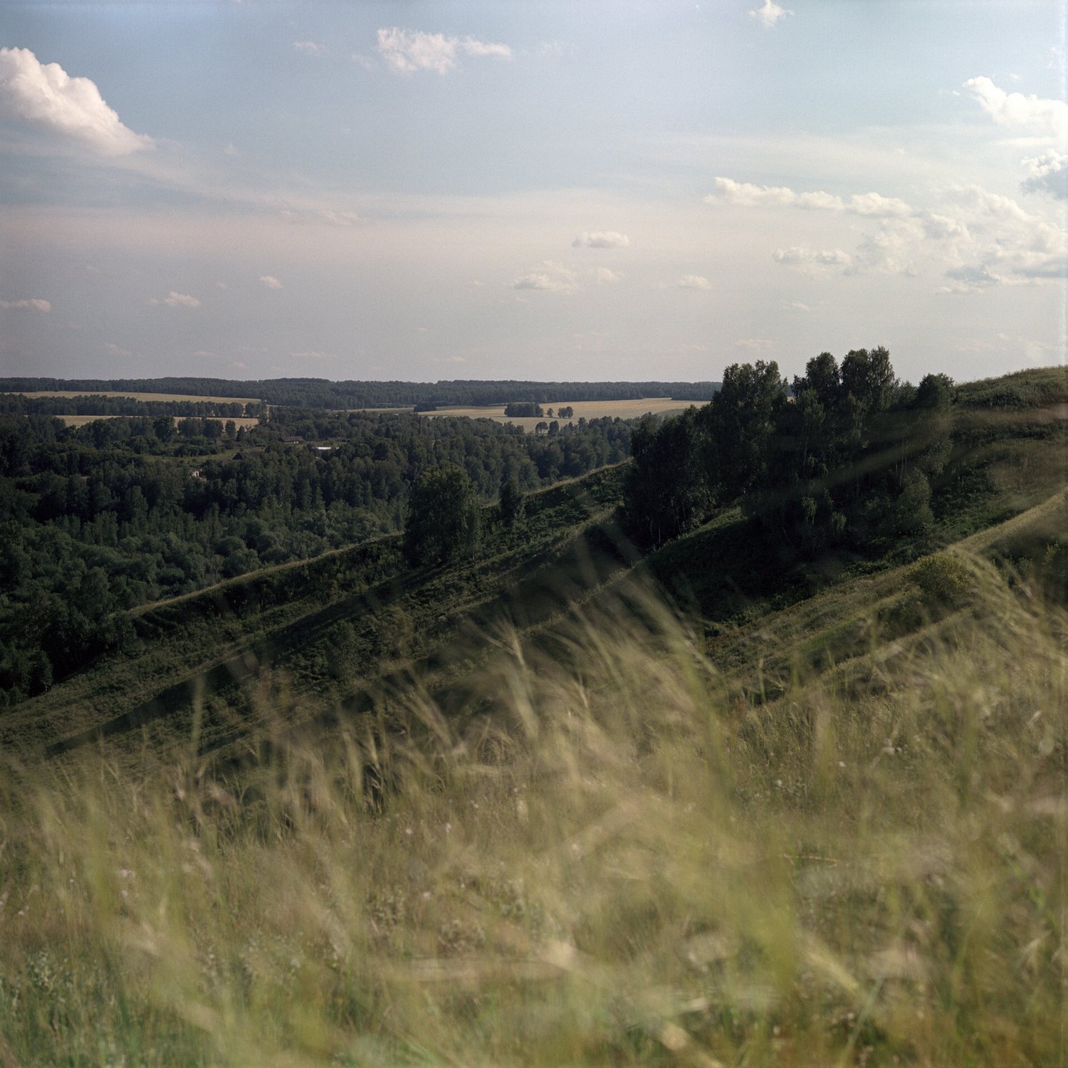 Голубцовские холмы