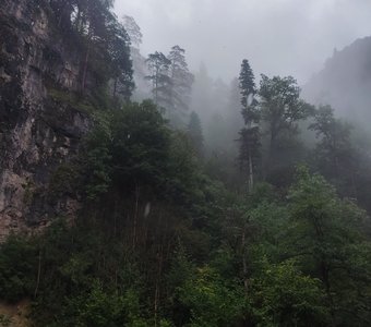 Туман во время дождя