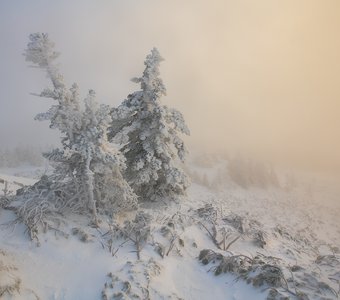 Призрачно всё