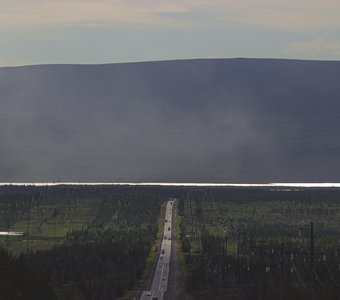 Дорога домой