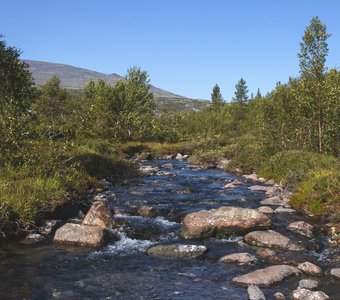 Ледяная речка