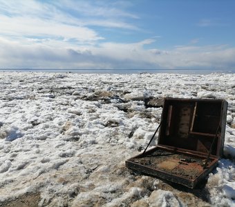 Сюрпризы Студёного моря