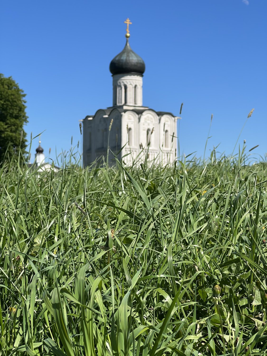 Церковь Покрова на Нерли — Фото №1421289 — Russian Traveler