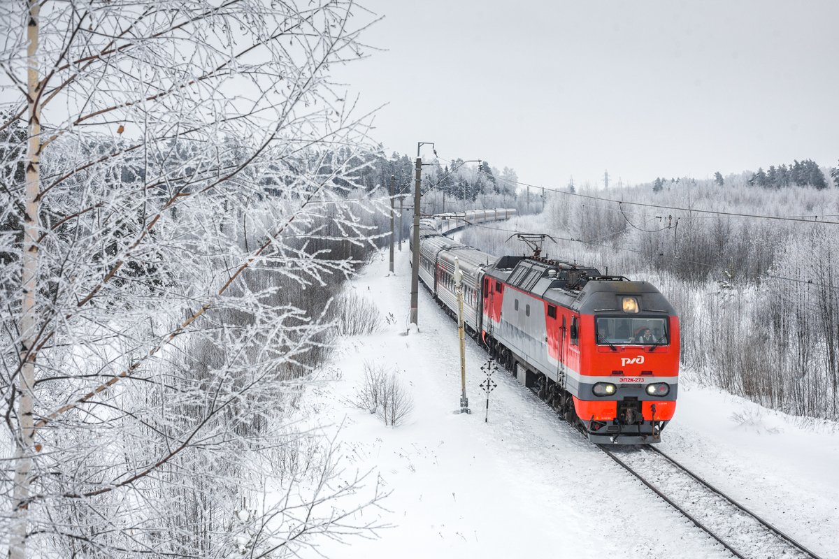 Новогодний скорый