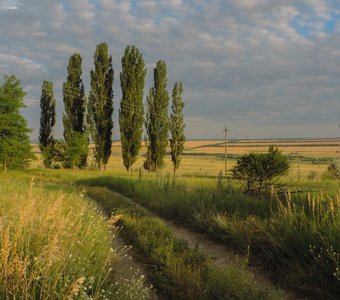 Широки просторы наши...