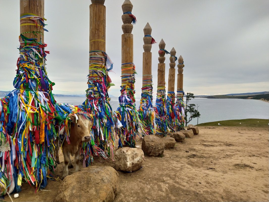 У нее тоже есть заветное желание — Фото №1417368 — Russian Traveler